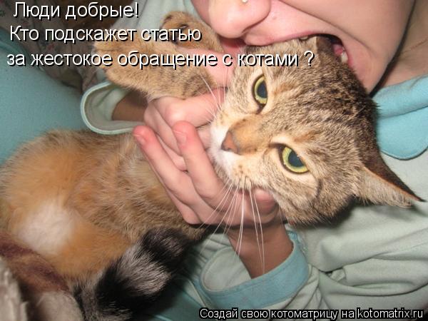 Люди добрые! Кто подскажет статью за жестокое обращение с котами ?... Котоматрица: Люди добрые! Кто подскажет статью за жестокое обращение с котами ?