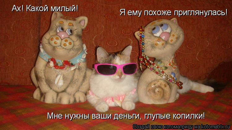 Ах! Какой милый! Я ему похоже приглянулась! Мне нужны ваши деньги, глупые копилки!... Котоматрица: Ах! Какой милый! Я ему похоже приглянулась! Мне нужны ваши деньги, глупые копилки!