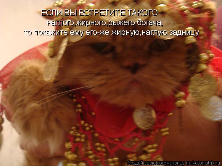 ЕСЛИ ВЫ ВСТРЕТИТЕ ТАКОГО наглого,жирного,рыжего богача, то покажите ему его-же жирную,наглую задницу... Котоматрица: ЕСЛИ ВЫ ВСТРЕТИТЕ ТАКОГО наглого,жирного,рыжего богача, то покажите ему его-же жирную,наглую задницу