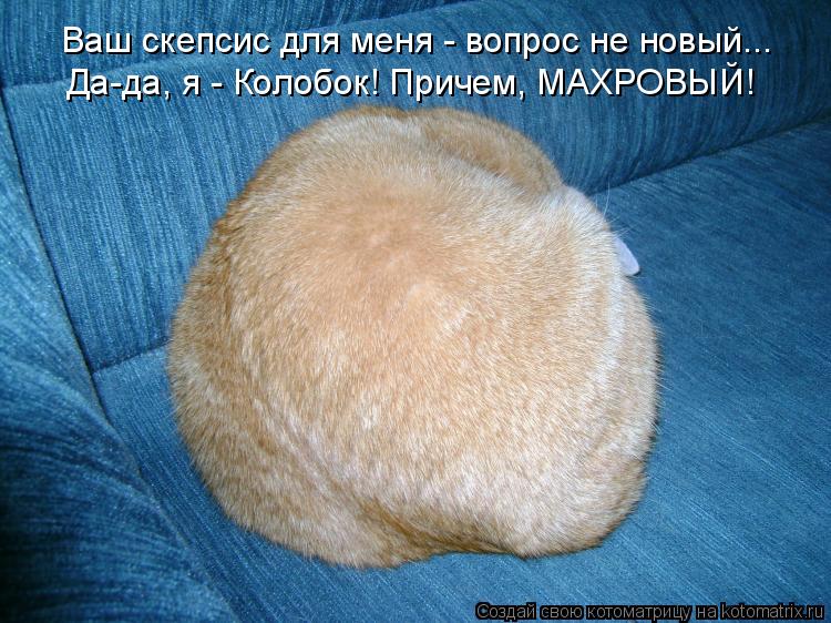 Ваш скепсис для меня - вопрос не новый... Да-да, я - Колобок! Причем, МАХРОВЫЙ!... Котоматрица: Ваш скепсис для меня - вопрос не новый... Да-да, я - Колобок! Причем, МАХРОВЫЙ!