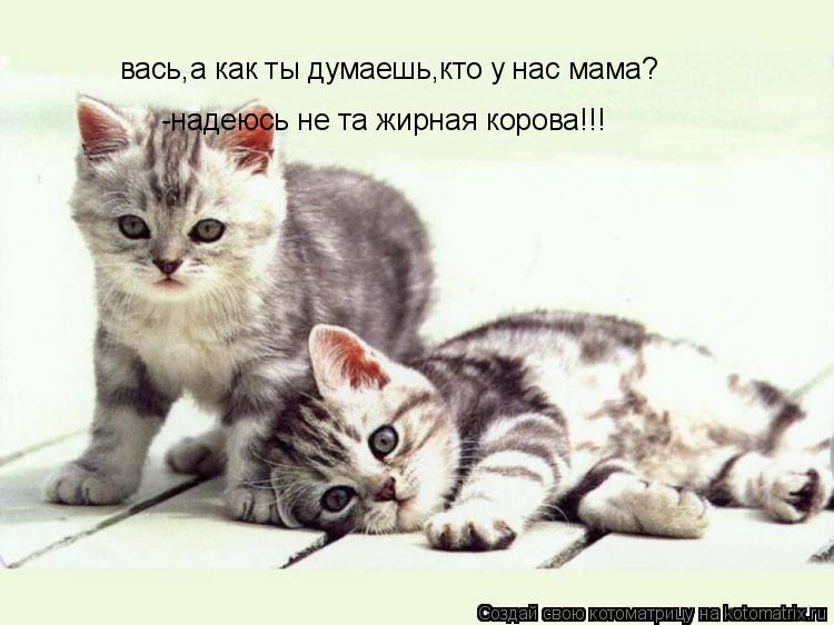 вась,а как ты думаешь,кто у нас мама? -надеюсь не та жирная корова!!!... Котоматрица: вась,а как ты думаешь,кто у нас мама? -надеюсь не та жирная корова!!!