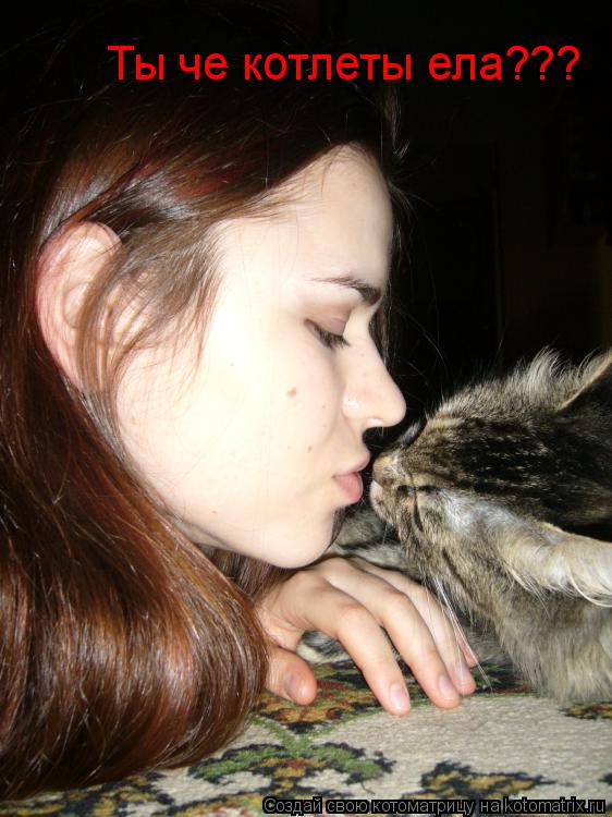 Ты че котлеты ела???... Котоматрица: Ты че котлеты ела???