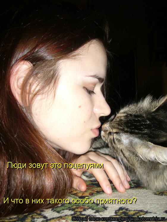 Люди зовут это поцелуями И что в них такого особо приятного?... Котоматрица: Люди зовут это поцелуями И что в них такого особо приятного?