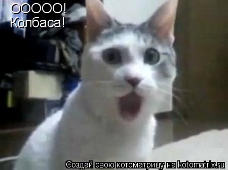 ООООО! Колбаса!... Котоматрица: ООООО! Колбаса!