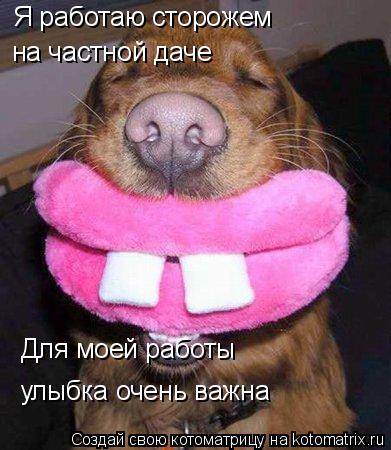 Я работаю сторожем на частной даче Для моей работы улыбка очень важна... Котоматрица: Я работаю сторожем на частной даче Для моей работы улыбка очень важна
