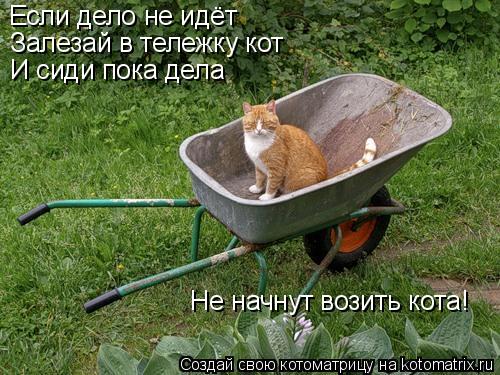 Если дело не идёт Залезай в тележку кот И сиди пока дела Не начнут возить кота!... Котоматрица: Если дело не идёт Залезай в тележку кот И сиди пока дела Не начнут возить кота!