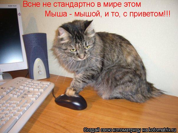Всне не стандартно в мире этом Мыша - мышой, и то, с приветом!!!... Котоматрица: Всне не стандартно в мире этом Мыша - мышой, и то, с приветом!!!