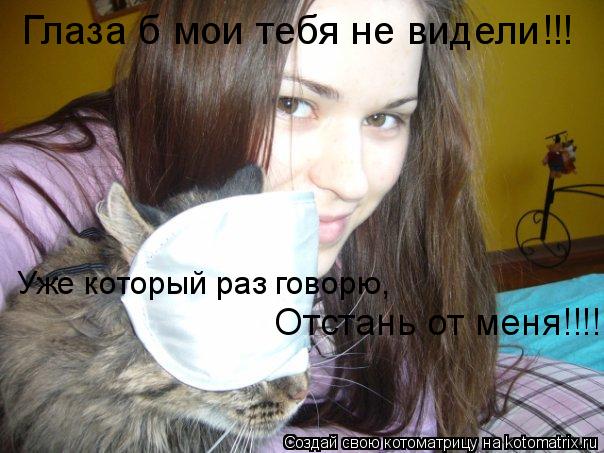 Глаза б мои тебя не видели!!! Уже который раз говорю, Отстань от меня!!!!... Котоматрица: Глаза б мои тебя не видели!!! Уже который раз говорю, Отстань от меня!!!!