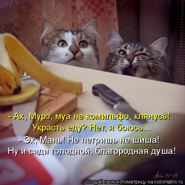 - Ах, Мурз, муа не комильфо, клянусь! Украсть еду? Нет, я боюсь... - Эх, Мань! Не петришь не шиша! Ну... Котоматрица: - Ах, Мурз, муа не комильфо, клянусь! Украсть еду? Нет, я боюсь... - Эх, Мань! Не петришь не шиша! Ну и сиди голодной, благородная душа!