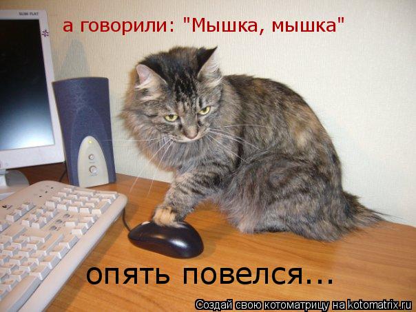 а говорили: "Мышка, мышка" опять повелся...... Котоматрица: а говорили: "Мышка, мышка" опять повелся...