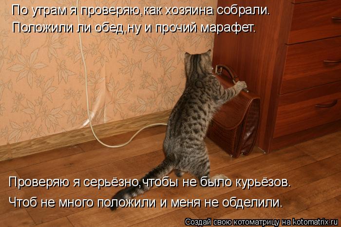 Котоматрица: По утрам я проверяю,как хозяина собрали. Положили ли обед,ну и прочий марафет. Чтоб не много положили и меня не обделили. Проверяю я серьёзно