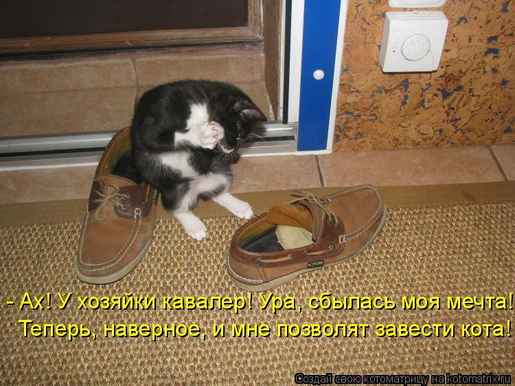 - Ах! У хозяйки кавалер! Ура, сбылась моя мечта! Теперь, наверное, и мне позволят завести кота!... Котоматрица: - Ах! У хозяйки кавалер! Ура, сбылась моя мечта! Теперь, наверное, и мне позволят завести кота!