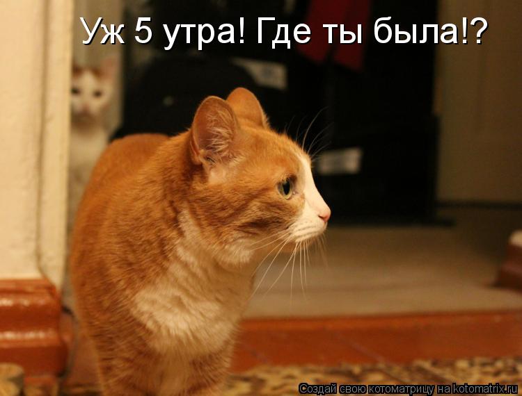 Уж 5 утра! Где ты была!?... Котоматрица: Уж 5 утра! Где ты была!?