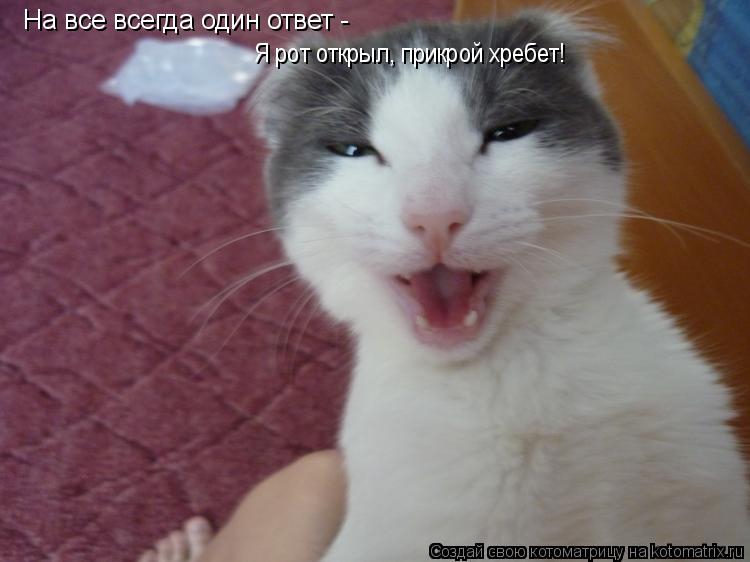 На все всегда один ответ - Я рот открыл, прикрой хребет!... Котоматрица: На все всегда один ответ - Я рот открыл, прикрой хребет!