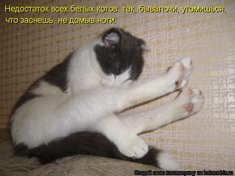 Недостаток всех белых котов: так, бывалочи, утомишься, что заснешь, не домыв ноги.... Котоматрица: Недостаток всех белых котов: так, бывалочи, утомишься, что заснешь, не домыв ноги.