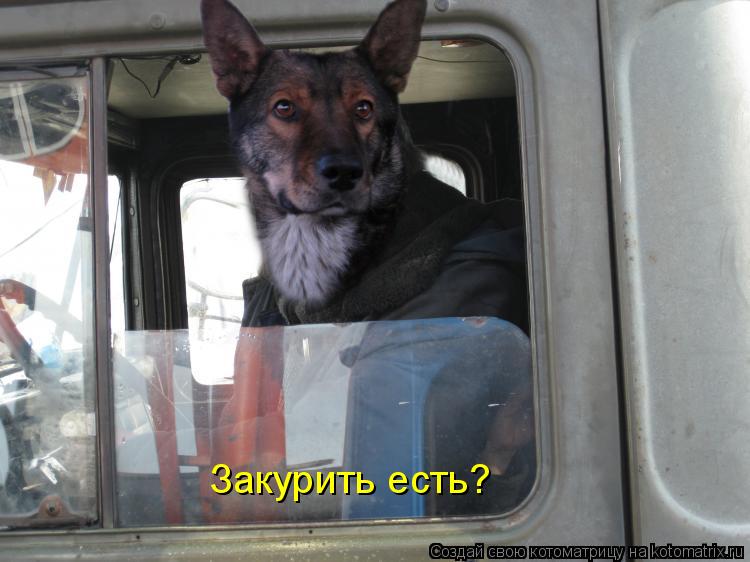 Закурить есть?... Котоматрица: Закурить есть?