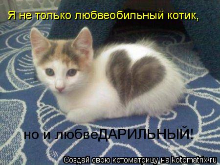 Я не только любвеобильный котик, но и любвеДАРИЛЬНЫЙ!... Котоматрица: Я не только любвеобильный котик, но и любвеДАРИЛЬНЫЙ!