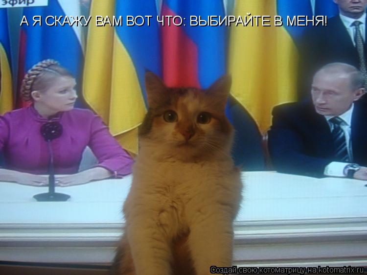 А Я СКАЖУ ВАМ ВОТ ЧТО: ВЫБИРАЙТЕ В МЕНЯ!... Котоматрица: А Я СКАЖУ ВАМ ВОТ ЧТО: ВЫБИРАЙТЕ В МЕНЯ!