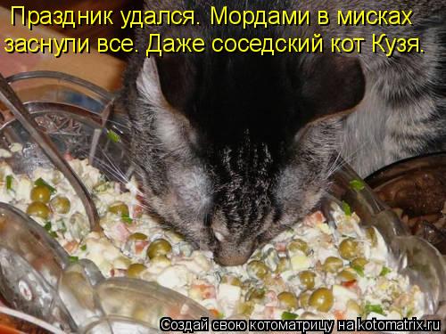 Праздник удался. Мордами в мисках заснули все. Даже соседский кот Кузя.... Котоматрица: Праздник удался. Мордами в мисках заснули все. Даже соседский кот Кузя.