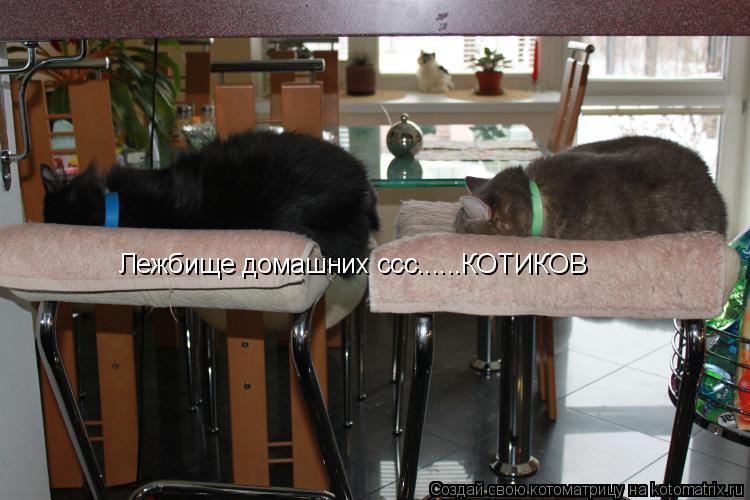 Лежбище домашних ссс......КОТИКОВ... Котоматрица: Лежбище домашних ссс......КОТИКОВ