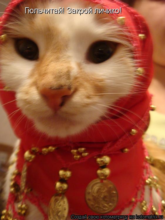 Гюльчитай! Закрой личико!... Котоматрица: Гюльчитай! Закрой личико!