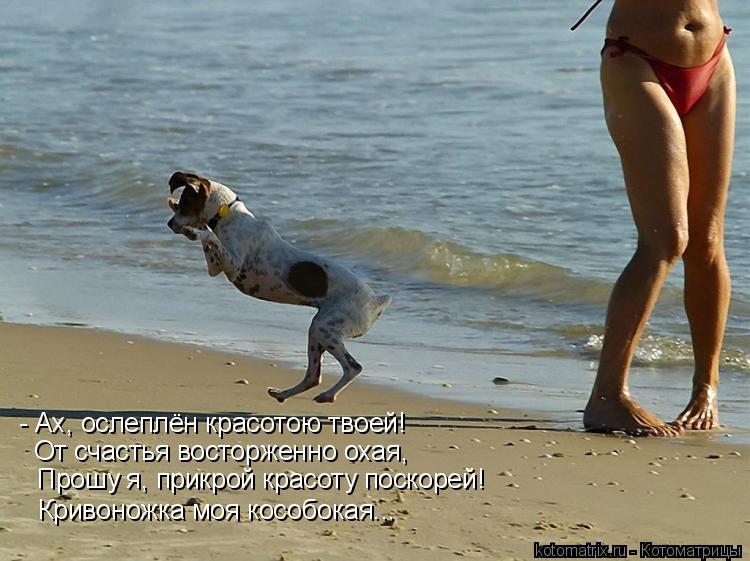 - Ах, ослеплён красотою твоей! От счастья восторженно охая, Прошу я, прикрой красоту поскорей! Кривон... Котоматрица: - Ах, ослеплён красотою твоей! От счастья восторженно охая, Прошу я, прикрой красоту поскорей! Кривоножка моя кособокая...