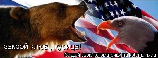 закрой клюв , курица!... Котоматрица: закрой клюв , курица!