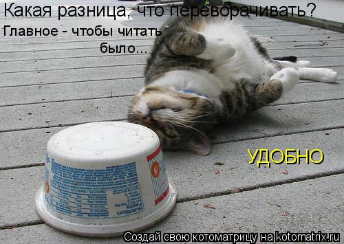 Какая разница, что переворачивать? Главное - чтобы читать было... УДОБНО... Котоматрица: Какая разница, что переворачивать? Главное - чтобы читать было... УДОБНО
