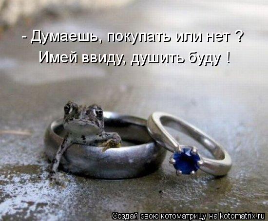 - Думаешь, покупать или нет ? Имей ввиду, душить буду !... Котоматрица: - Думаешь, покупать или нет ? Имей ввиду, душить буду !