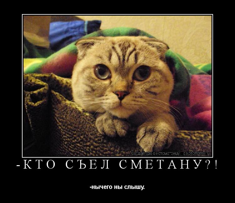 -КТО СЪЕЛ СМЕТАНУ?! -нычего ны слышу.... Котоматрица: -КТО СЪЕЛ СМЕТАНУ?! -нычего ны слышу.