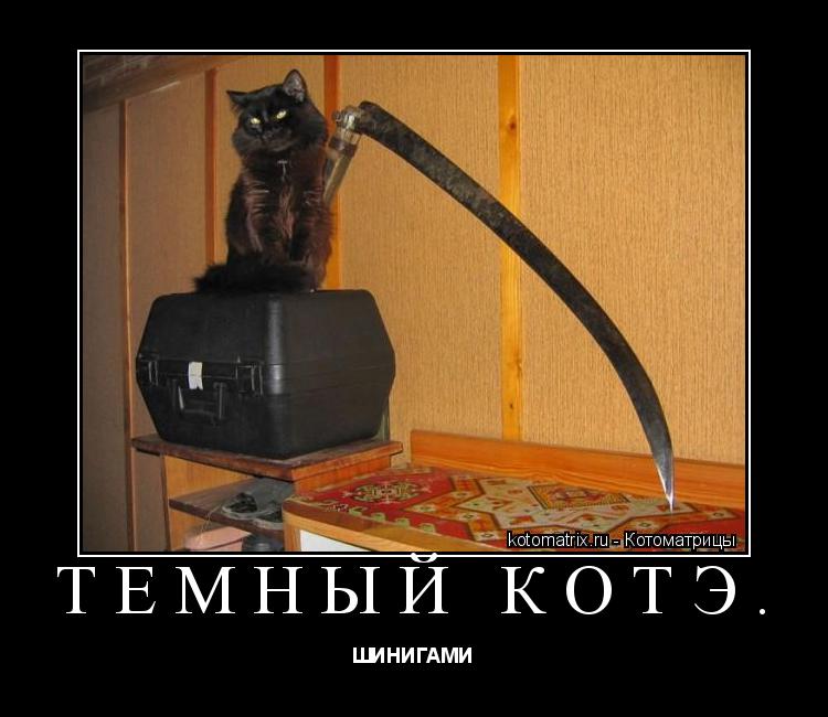Тёмный Котэ. ШИНИГАМИ... Котоматрица: Тёмный Котэ. ШИНИГАМИ