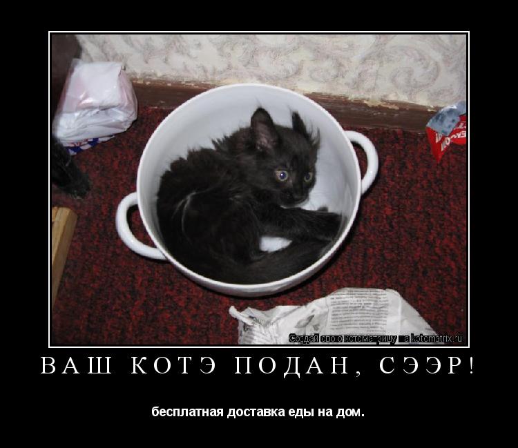 ваш котэ подан, сээр! бесплатная доставка еды на дом.... Котоматрица: ваш котэ подан, сээр! бесплатная доставка еды на дом.