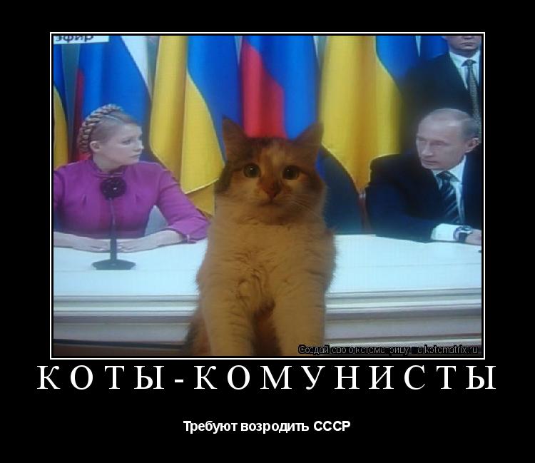 Котоматрица: Коты-комунисты Требуют возродить СССР
