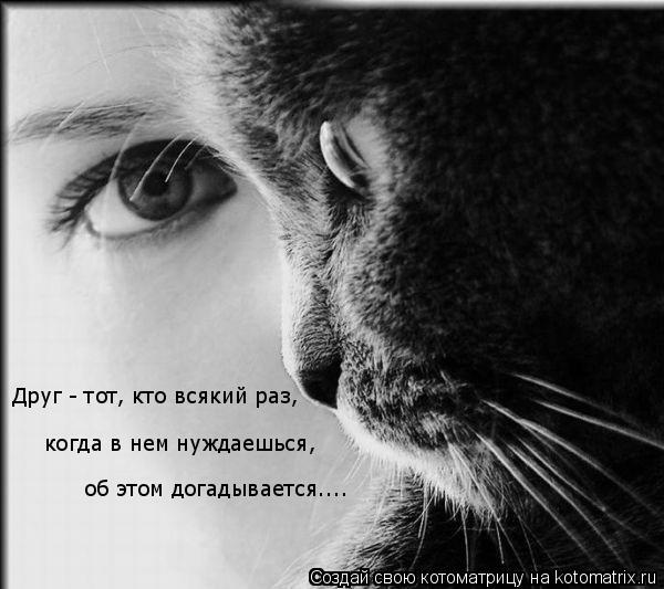 Друг - тот, кто всякий раз, когда в нем нуждаешься, об этом догадывается....... Котоматрица: Друг - тот, кто всякий раз, когда в нем нуждаешься, об этом догадывается....