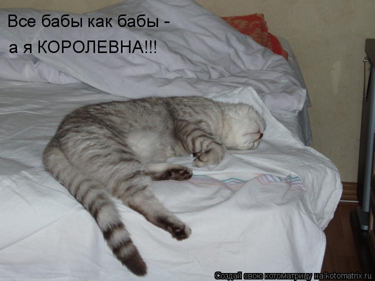 Все бабы как бабы - а я КОРОЛЕВНА!!!... Котоматрица: Все бабы как бабы - а я КОРОЛЕВНА!!!