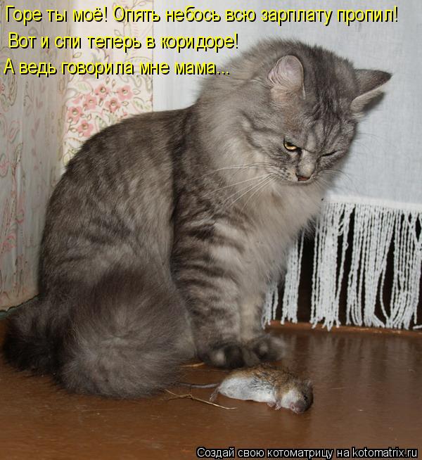 Горе ты моё! Опять небось всю зарплату пропил! Вот и спи теперь в коридоре! А ведь говорила мне мама.... Котоматрица: Горе ты моё! Опять небось всю зарплату пропил! Вот и спи теперь в коридоре! А ведь говорила мне мама...