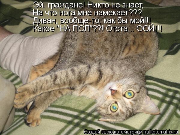 Котоматрица: Эй, граждане! Никто не знает, На что нога мне намекает??? Диван, вообще-то, как бы мой!!! Какое "НА ПОЛ"??! Отста... ООЙ!!!