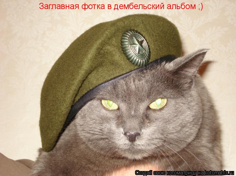 Заглавная фотка в дембельский альбом ;)... Котоматрица: Заглавная фотка в дембельский альбом ;)