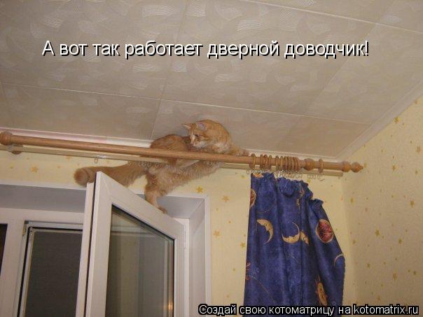 А вот так работает дверной доводчик!... Котоматрица: А вот так работает дверной доводчик!
