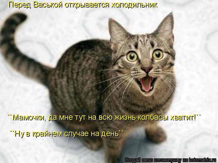 Перед Васькой открывается холодильник ``Мамочки, да мне тут на всю жизнь колбасы хватит!`` ``Ну в кра... Котоматрица: Перед Васькой открывается холодильник ``Мамочки, да мне тут на всю жизнь колбасы хватит!`` ``Ну в крайнем случае на день``