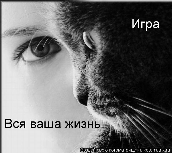 Вся ваша жизнь Игра... Котоматрица: Вся ваша жизнь Игра