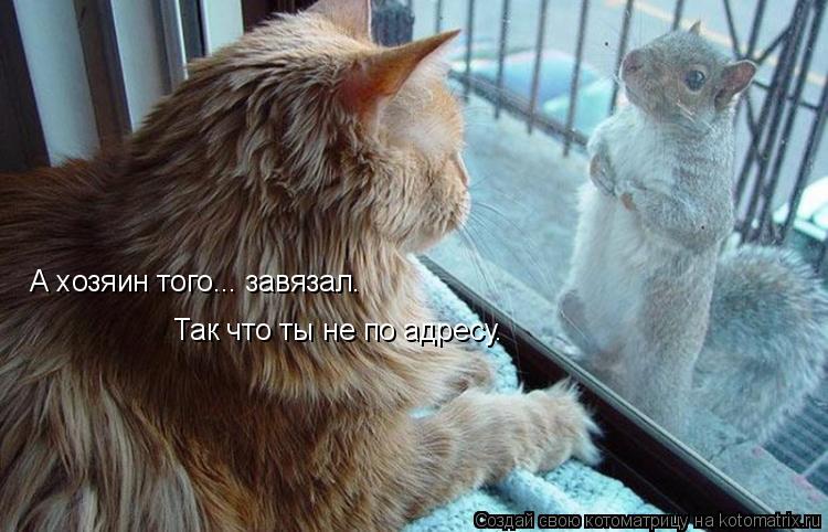 А хозяин того... завязал. Так что ты не по адресу.... Котоматрица: А хозяин того... завязал. Так что ты не по адресу.