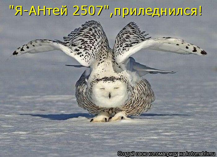 "Я-АНтей 2507",приледнился!... Котоматрица: "Я-АНтей 2507",приледнился!