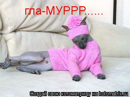 гла-МУРРР......... Котоматрица: гла-МУРРР......