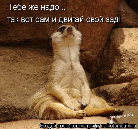 Тебе же надо... так вот сам и двигай свой зад!... Котоматрица: Тебе же надо... так вот сам и двигай свой зад!
