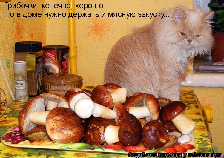 Грибочки, конечно, хорошо... Но в доме нужно держать и мясную закуску....... Котоматрица: Грибочки, конечно, хорошо... Но в доме нужно держать и мясную закуску....