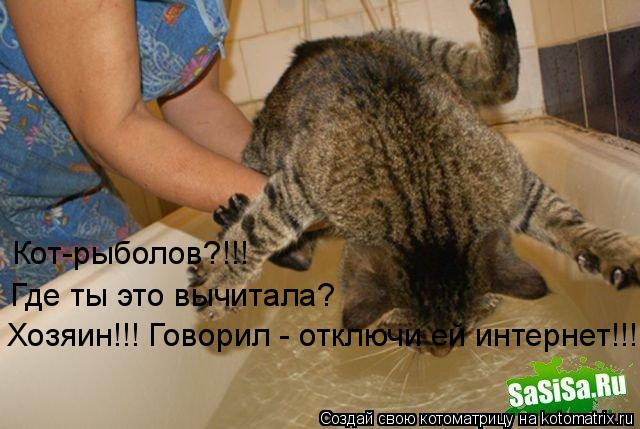 Кот-рыболов?!!! Где ты это вычитала? Хозяин!!! Говорил - отключи ей интернет!!!... Котоматрица: Кот-рыболов?!!! Где ты это вычитала? Хозяин!!! Говорил - отключи ей интернет!!!