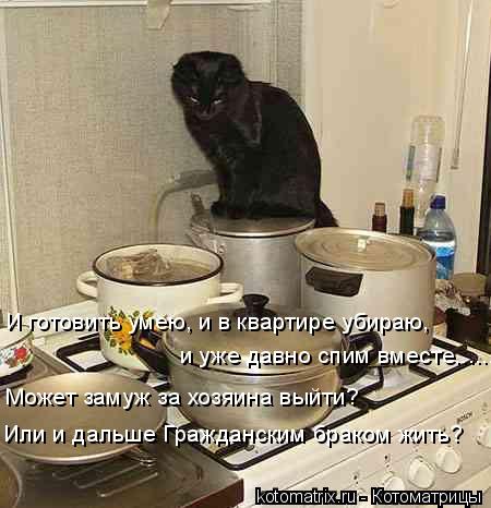 И готовить умею, и в квартире убираю, и уже давно спим вместе...... Может замуж за хозяина выйти? Или... Котоматрица: И готовить умею, и в квартире убираю, и уже давно спим вместе...... Может замуж за хозяина выйти? Или и дальше Гражданским браком жить?