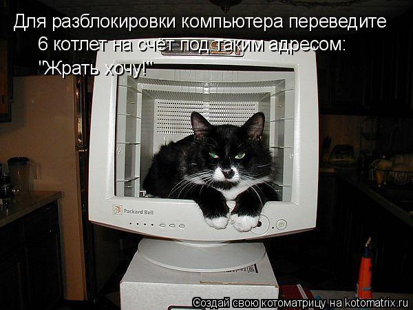 Для разблокировки компьютера переведите 6 котлет на счёт под таким адресом: "Жрать хочу!"... Котоматрица: Для разблокировки компьютера переведите 6 котлет на счёт под таким адресом: "Жрать хочу!"