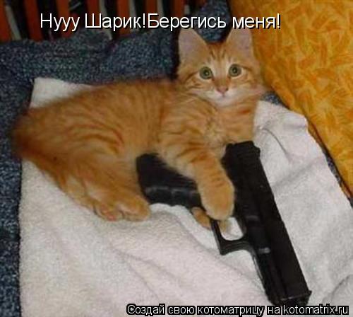Нууу Шарик!Берегись меня!... Котоматрица: Нууу Шарик!Берегись меня!